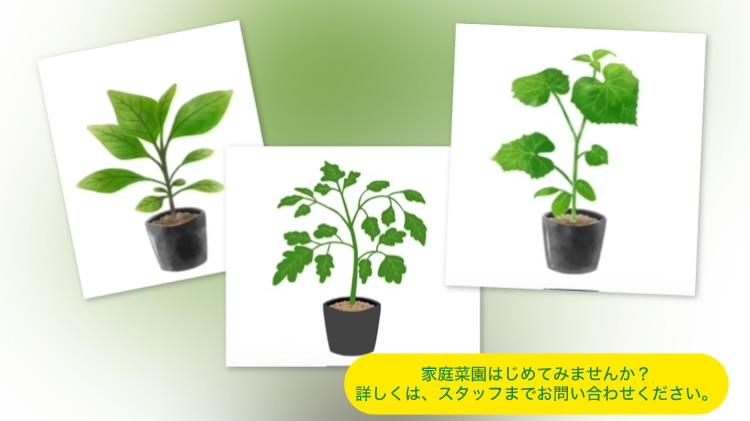 野菜苗入荷表ができました！！のサムネイル