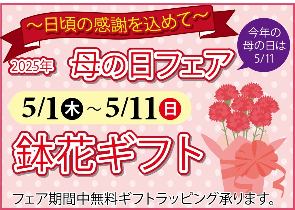 母の日フェアのサムネイル